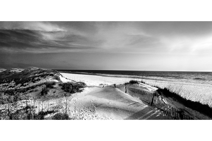 Serenity B&W - Image 2
