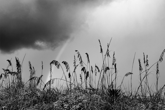 Something of Time – B&W
