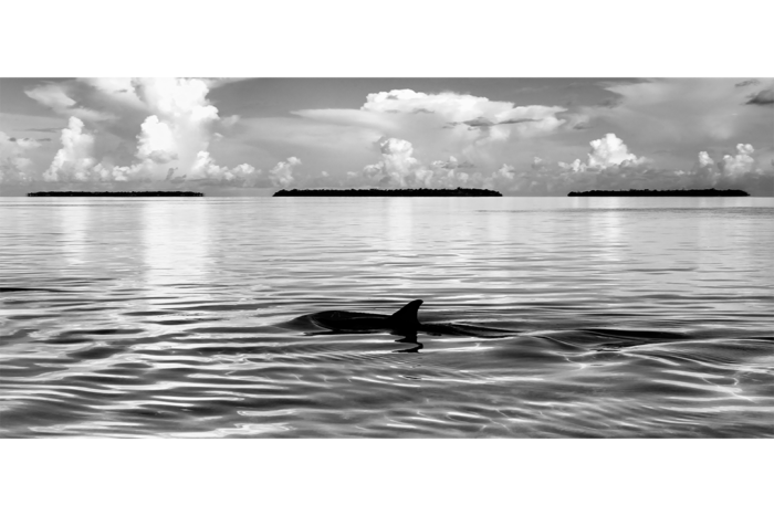 Spirit of the Sea B&W - Image 2