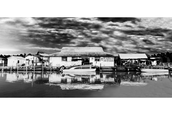 Sugarloaf Marine Revisited – B&W - Image 2