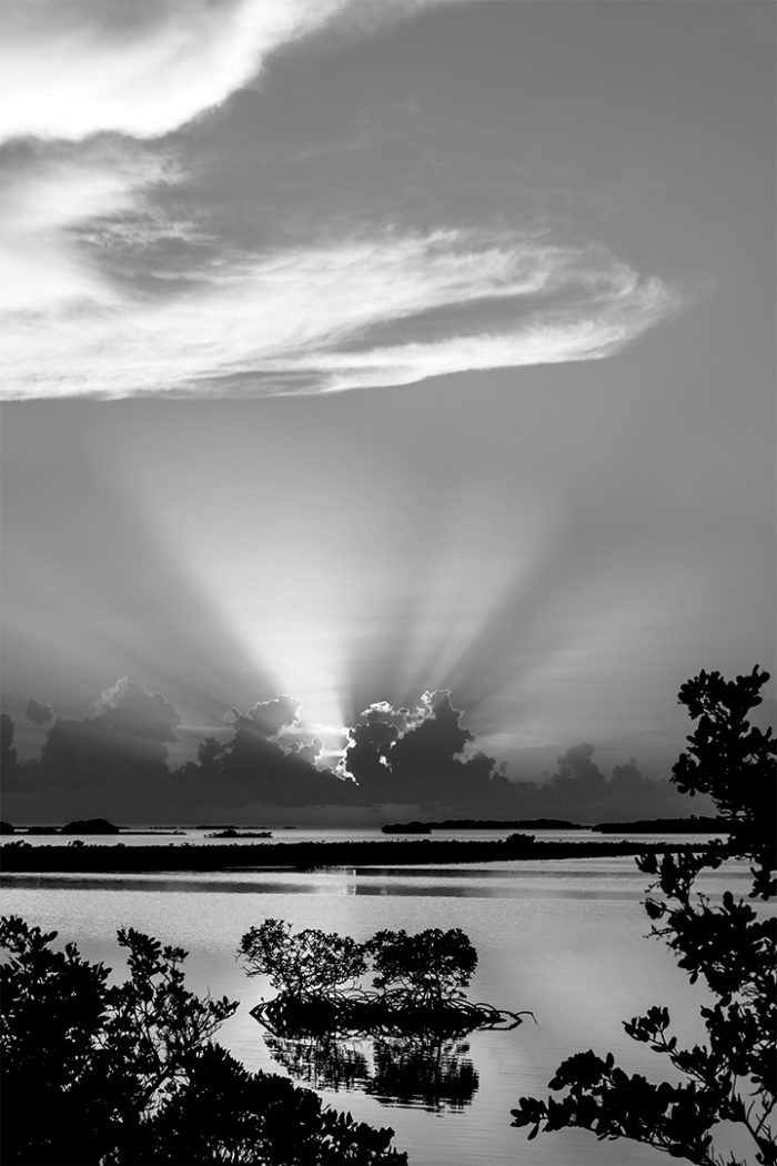 Sunray Silhouette B&W