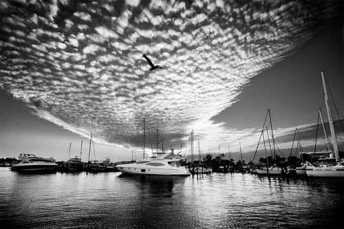 Sunset Over City Dock B&W