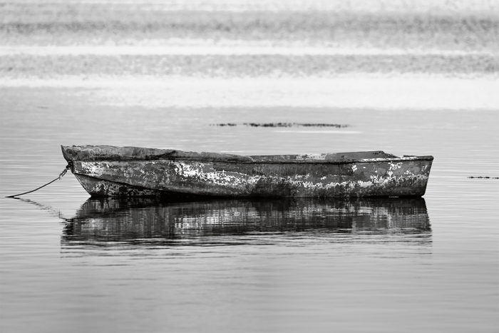 Tarnished Shades of Twilight B&W
