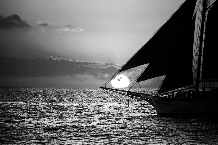 The Promise B&W