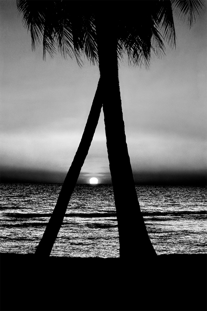 Tropical Blues B&W