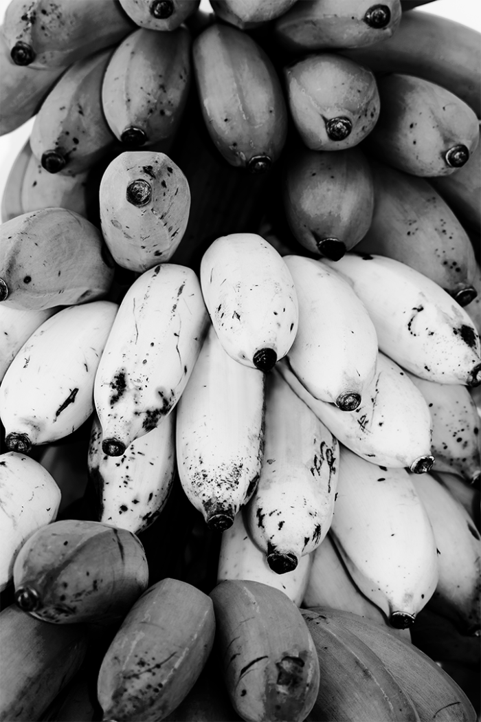 Tropical Harvest B&W