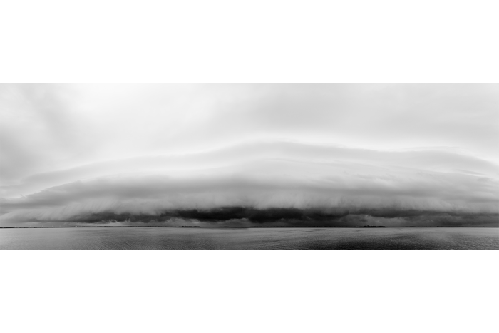 Tropical Wave B&W - Image 2