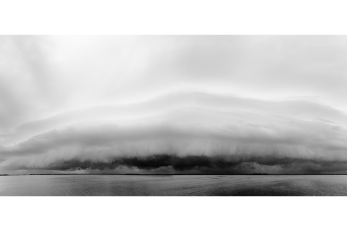 Tropical Wave B&W