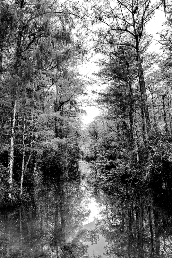 Utopia in the Wild V B&W