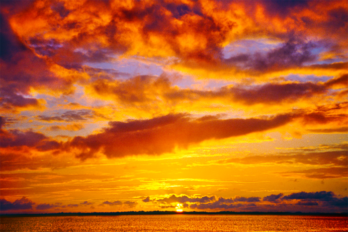 Against a Changing Sky