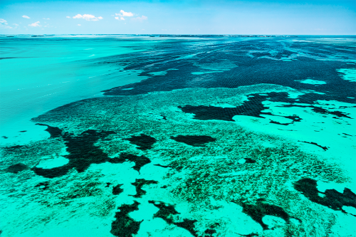 Aqua Vista