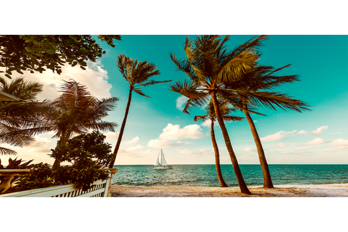 Aquamarine Dreams 1 - Image 2