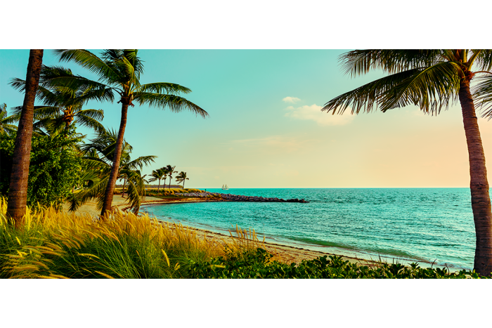 Aquamarine Dreams 2 - Image 2