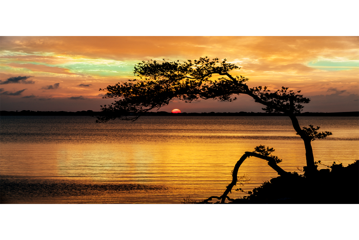 Arc of Light - Image 2