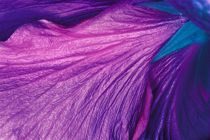 Art Abstraction 3