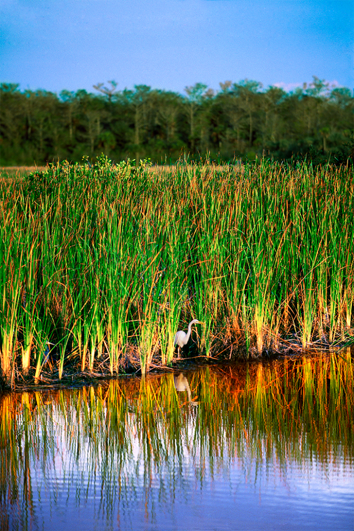 At River’s Edge 1