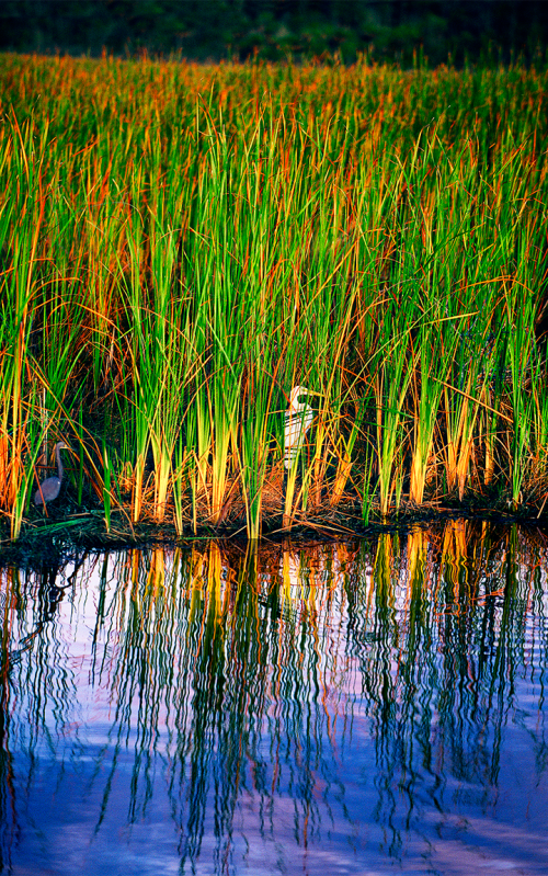 At Rivers Edge 2