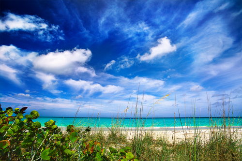 Beach Life