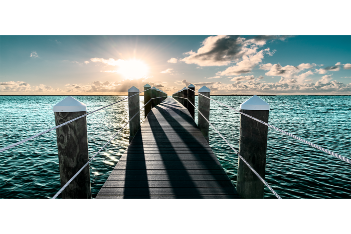 Between Shadow & Light - Image 2