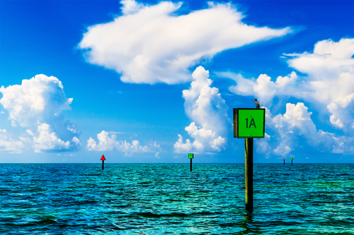 Beyond The Shallows