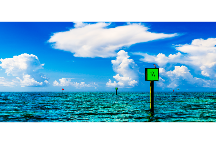 Beyond The Shallows - Image 2