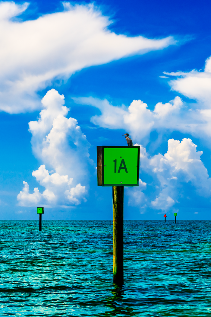 Beyond the Shallows V