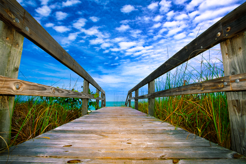 Boardwalk Dreams