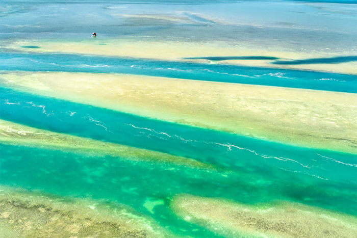 Brushstrokes From Above