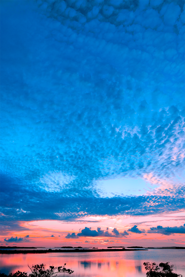 Coming of Twilight V