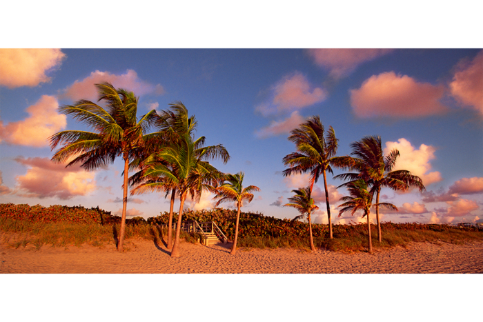 Crimson Dawn - Image 2