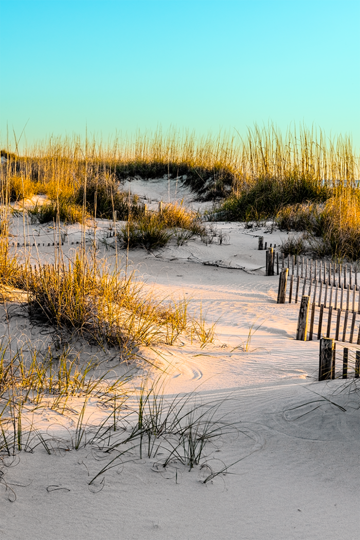 Daybreak on the Dune