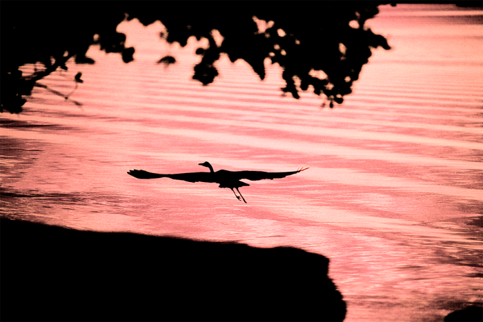 Departure