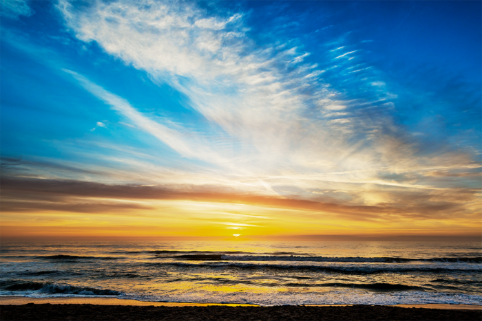 Disclosure at Dawn