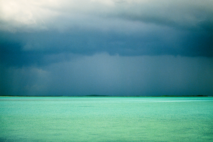 Distant Shade of Green