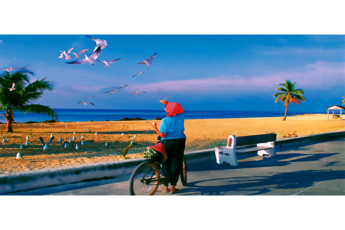 Early Morning - Image 2