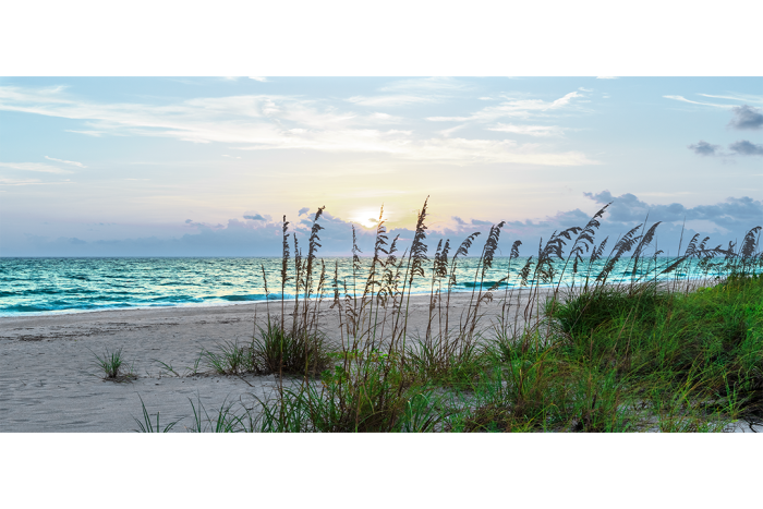 Echoes on the Shore - Image 2
