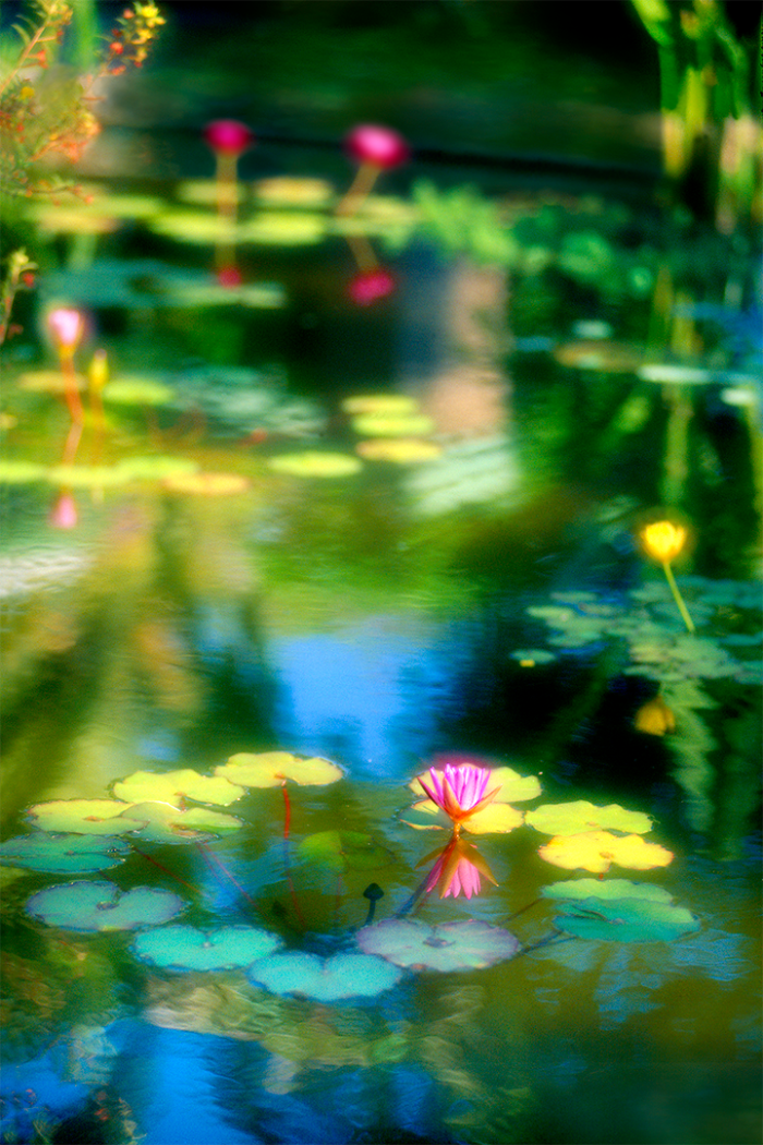 Eternal Beauty