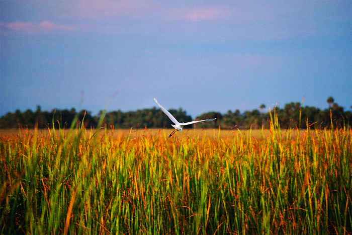 Exploring New Horizons