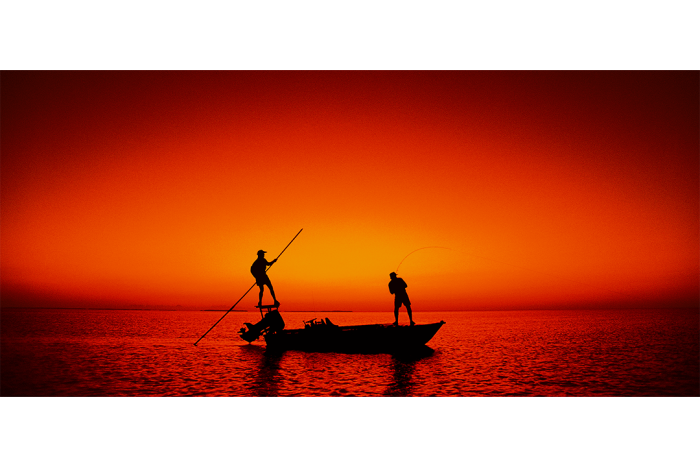 Flats Fishing at Dusk - Image 2