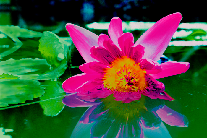 Floating Through Life