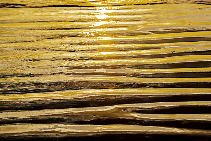 Golden Shores 1