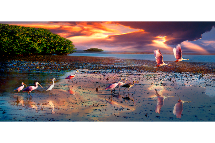 Guiding Light - Image 2
