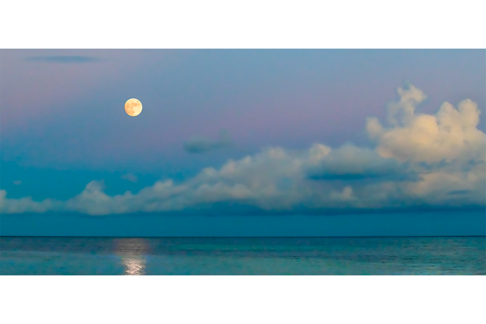Haunting Moods of Twilight - Image 2