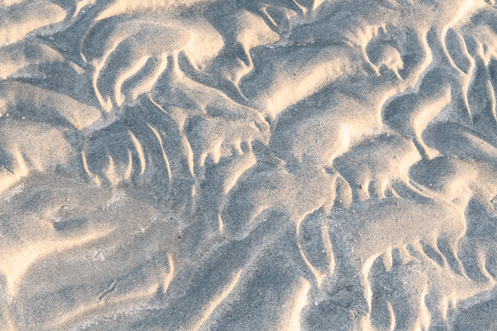 Impressions in the Sand