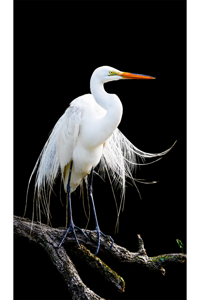 In Good Standing - Image 2