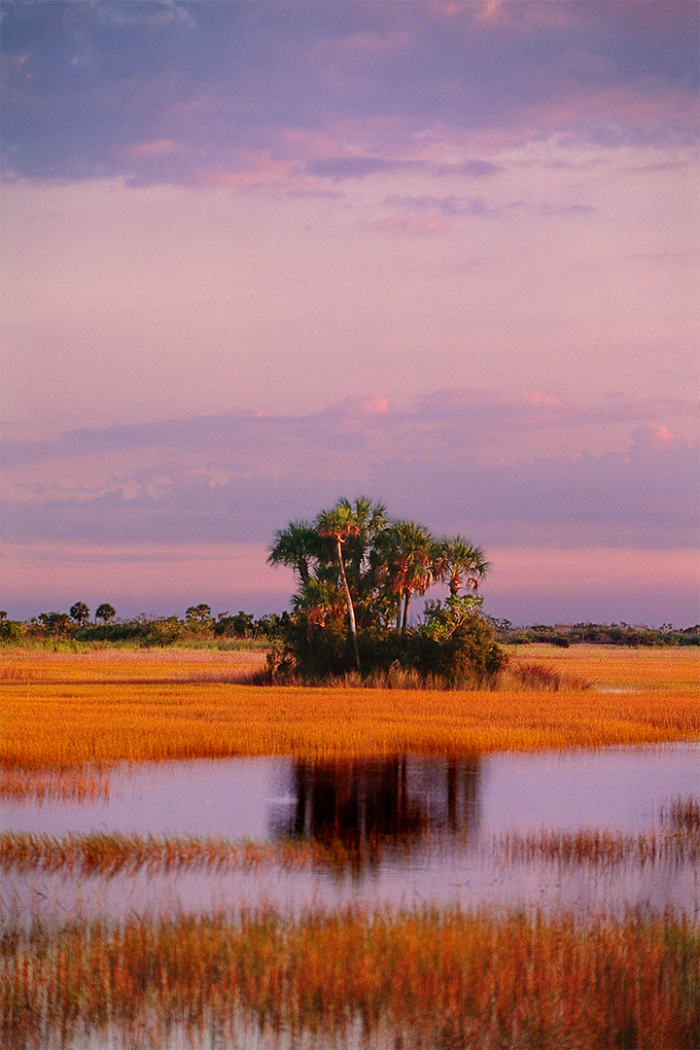 In Violet Light