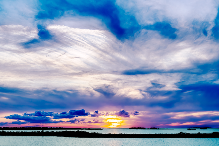 Indigo Dreams