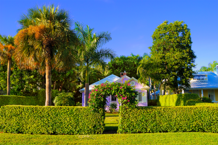 Jasmine Cottage