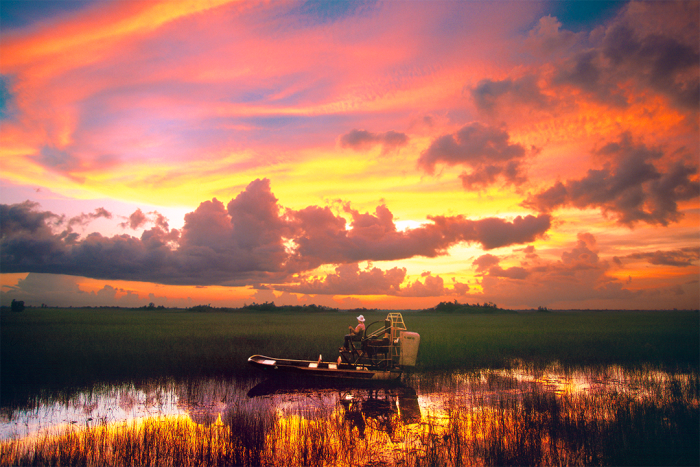 Journey in Paradise