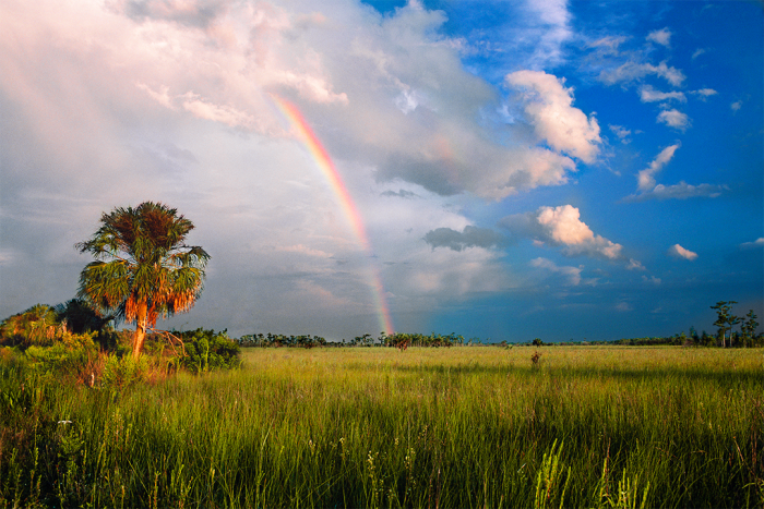 Light on the Prairie